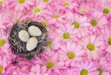 Velikonoční potěšení