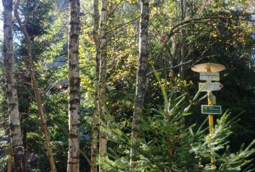 Turisté vyrazili na Devět skal