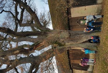 Turistika - údolím Svratky