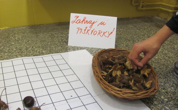 Obrázek galerie  3531