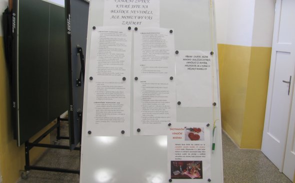 Obrázek galerie  4055