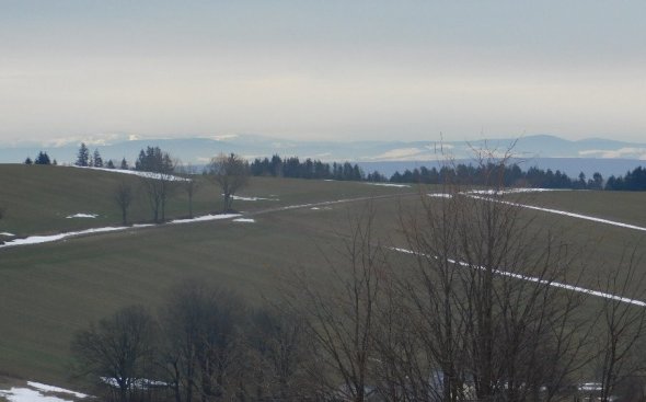 Obrázek galerie  4425