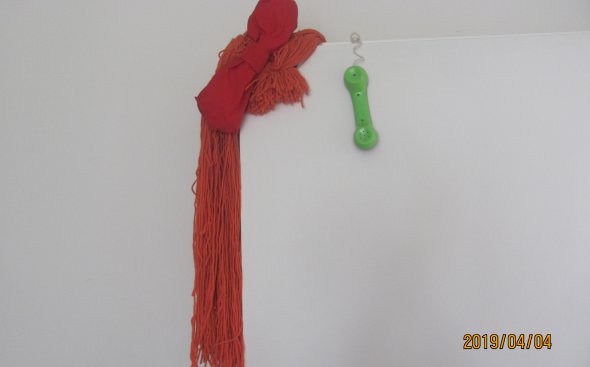 Obrázek galerie  4824