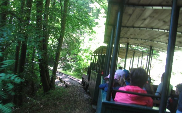 Obrázek galerie  5185