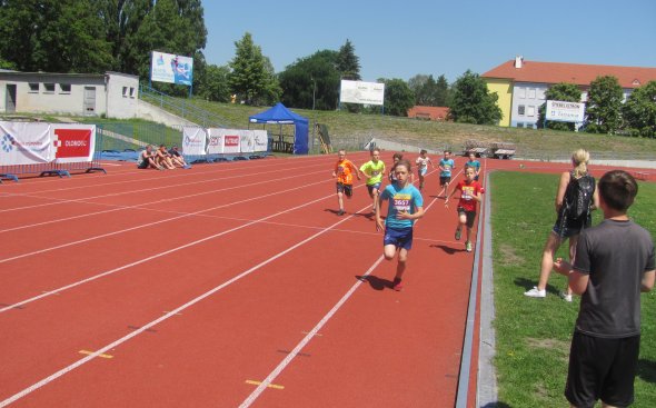 Obrázek galerie  5309