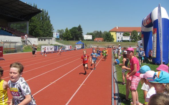 Obrázek galerie  5312