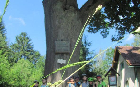 Obrázek galerie  5594