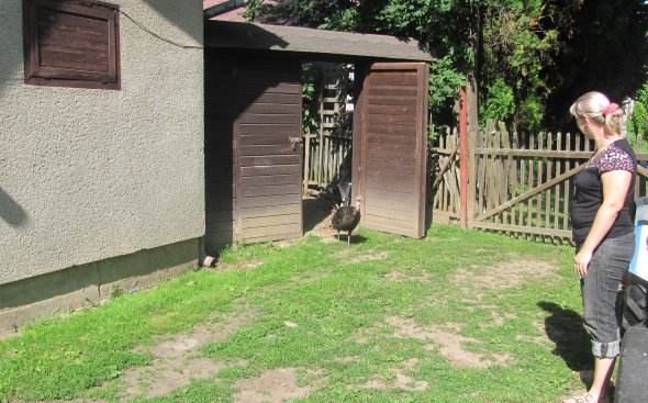 Obrázek galerie  5727