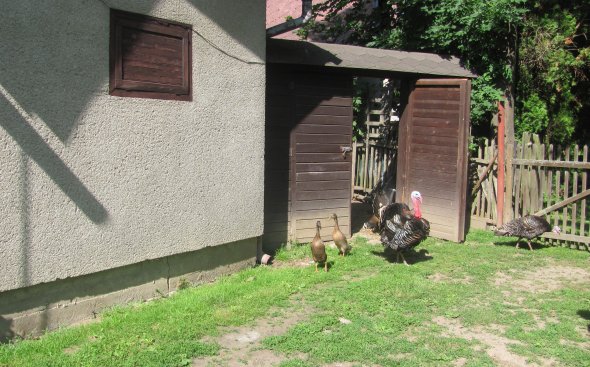 Obrázek galerie  5729