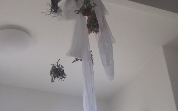 Obrázek galerie  6250