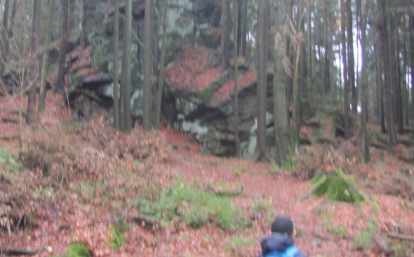 Obrázek galerie  6393