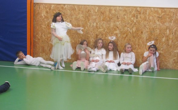 Obrázek galerie  6676