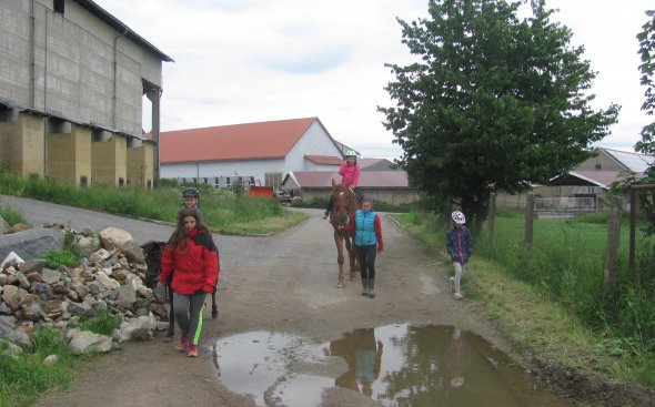 Obrázek galerie  7542