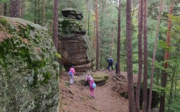 Obrázek galerie  8178