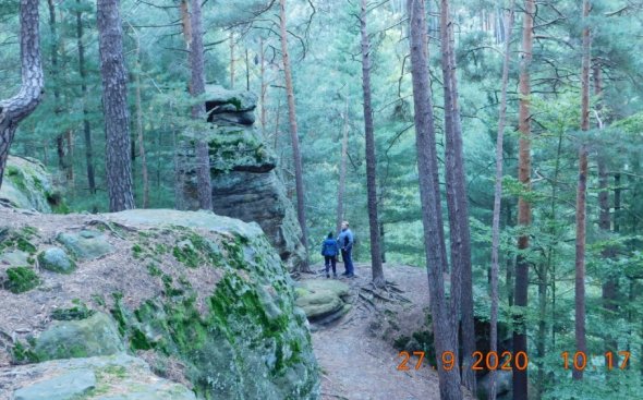 Obrázek galerie  8206