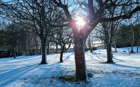 Školní družina a krásná zima v Oldřiši