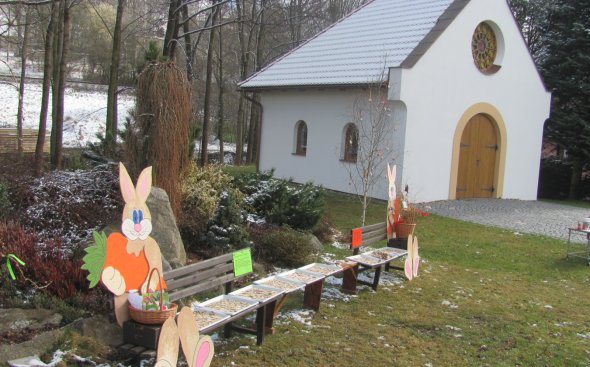 Obrázek galerie  8446