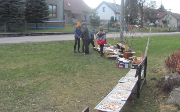 Obrázek galerie  8472