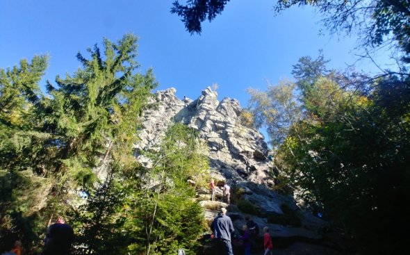 Obrázek galerie  10137