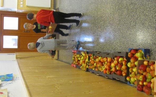 Obrázek galerie  10141