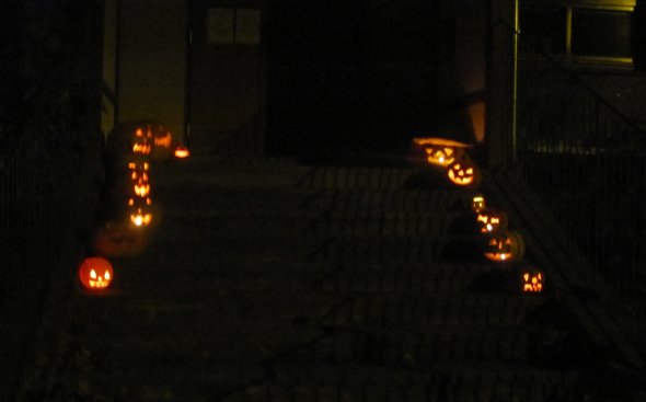 Obrázek galerie  10260
