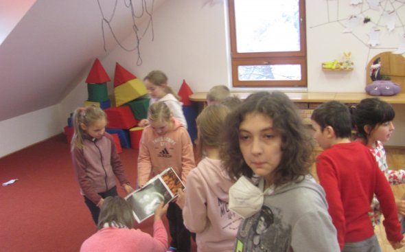 Obrázek galerie  10492