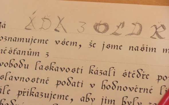 Obrázek galerie  11164