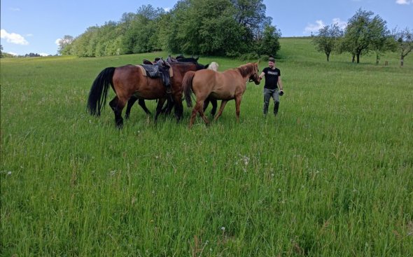 Setkání s koňmi - momentky z fotografování