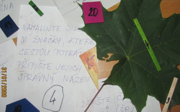 Obrázek galerie  2429