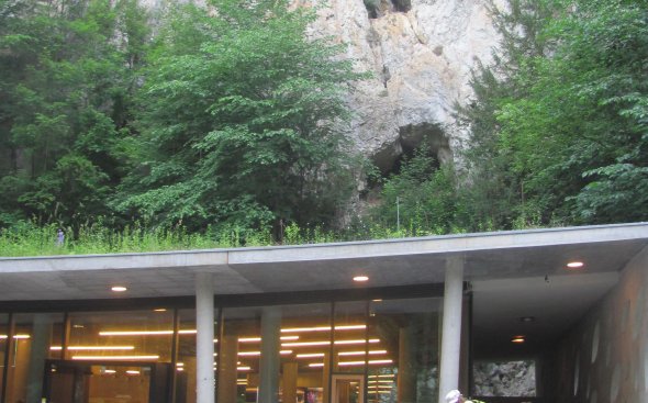 Obrázek galerie  2453