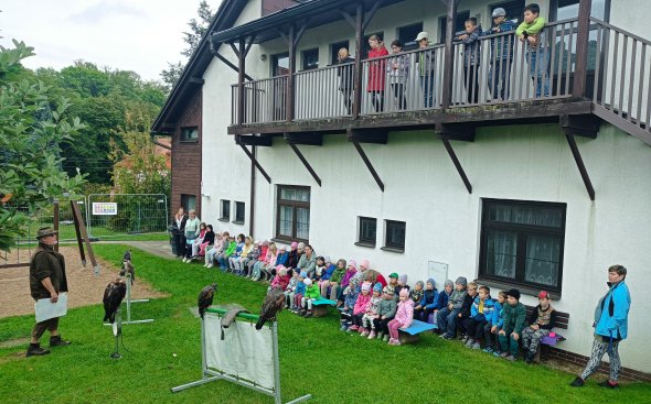 Obrázek galerie  18911