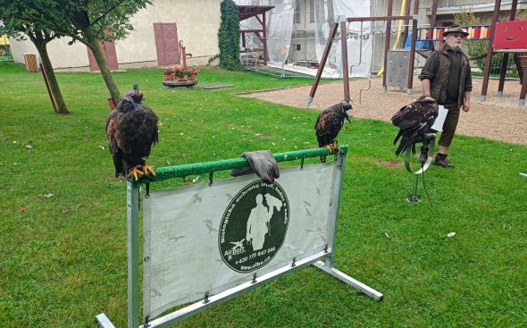 Obrázek galerie  18913