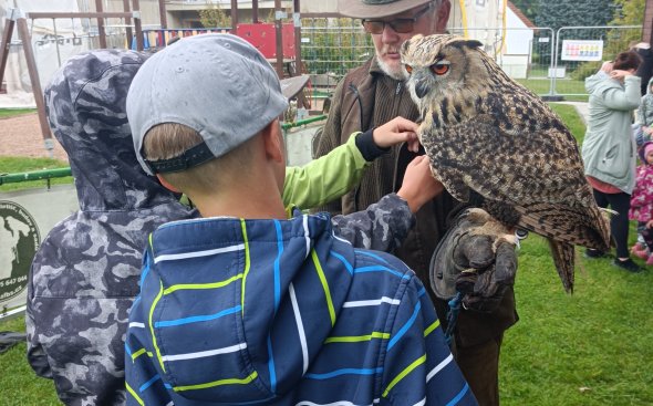 Obrázek galerie  18919