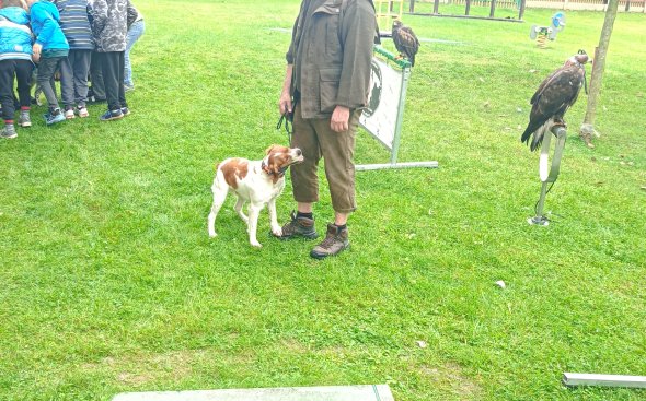 Obrázek galerie  18924