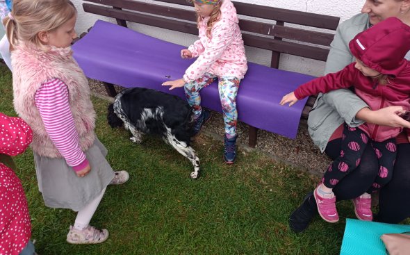 Obrázek galerie  18925