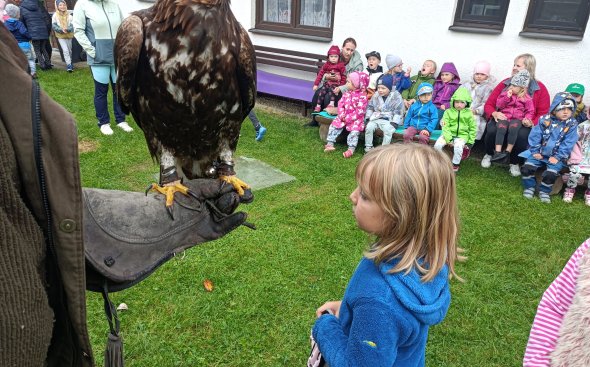 Obrázek galerie  18931