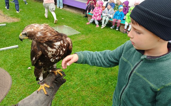 Obrázek galerie  18932