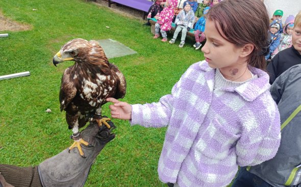 Obrázek galerie  18933