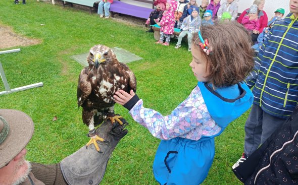 Obrázek galerie  18934