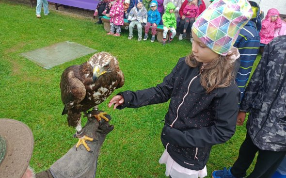 Obrázek galerie  18935