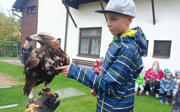 Obrázek galerie  18936