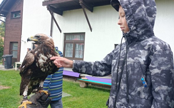 Obrázek galerie  18937