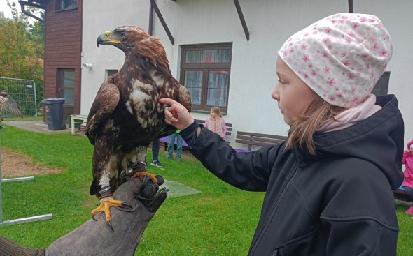 Obrázek galerie  18938