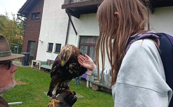 Obrázek galerie  18939