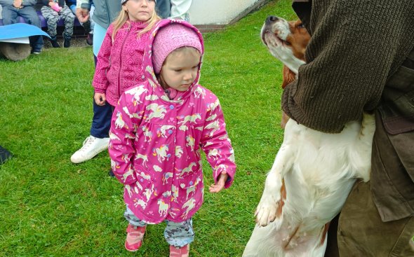 Obrázek galerie  18941