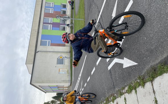 Obrázek galerie  19065