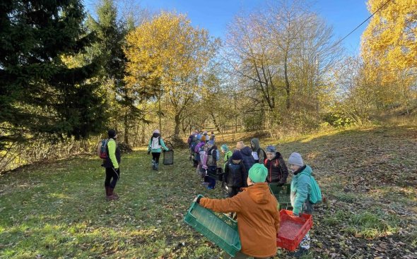 Obrázek galerie  19087