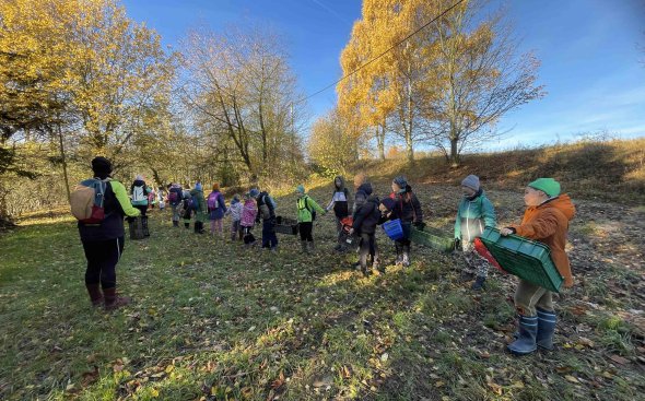 Obrázek galerie  19088