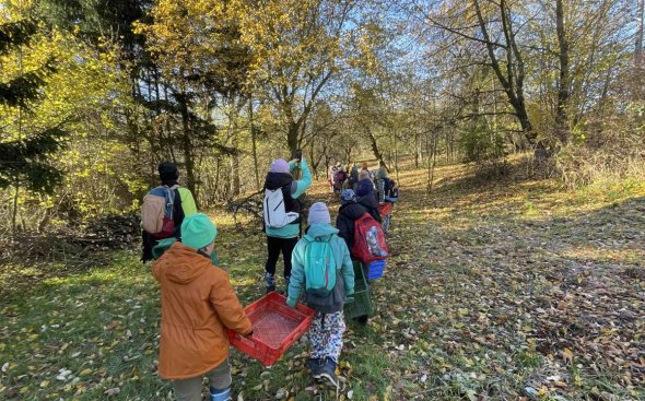 Obrázek galerie  19089