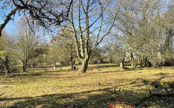 Obrázek galerie  19090